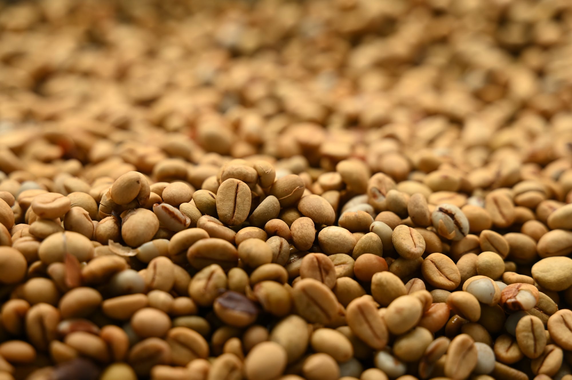 Green coffee beans